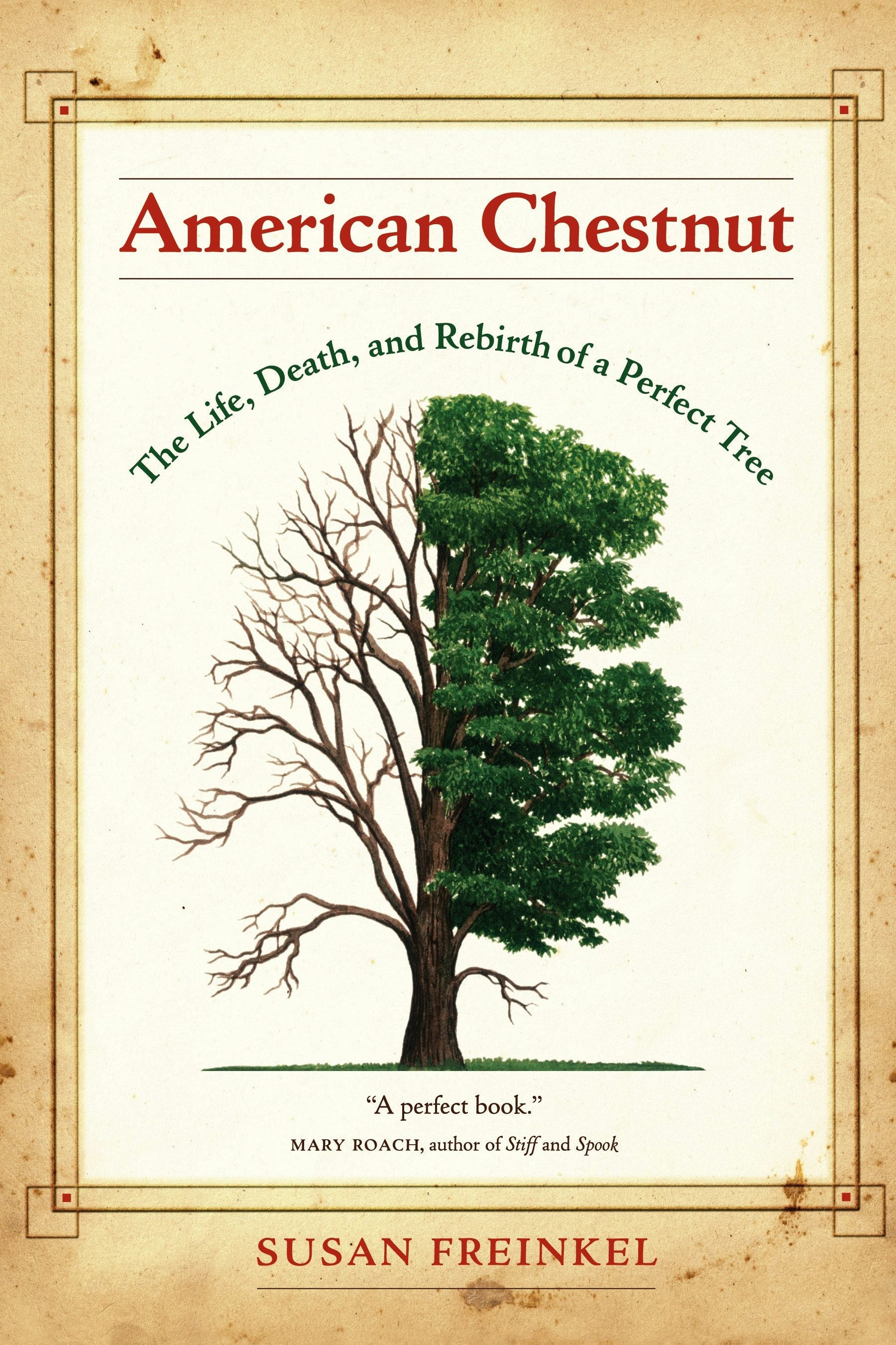 Book cover image for American Chestnut ISBN: 9780520932739